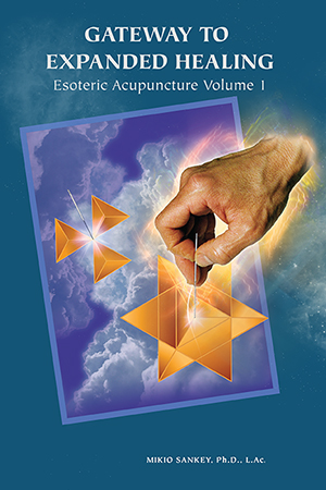 Esoteric Acupuncture: Gateway to Expanded Healing Vol. 1